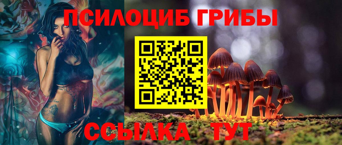 Белореченск  Галлюциногенные грибы Psilocybe  Вход с VPN  Псилоцибиновые грибы прущие грибы 